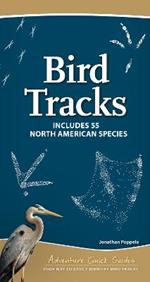Bird Tracks: Easily Identify 55 Common North American Species