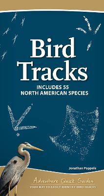 Bird Tracks: Easily Identify 55 Common North American Species - Jonathan Poppele - cover