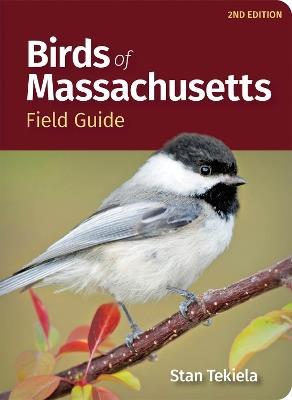 Birds of Massachusetts Field Guide - Stan Tekiela - cover