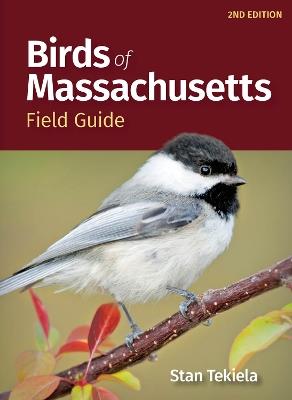 Birds of Massachusetts Field Guide - Stan Tekiela - cover