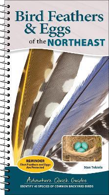 Bird Feathers & Eggs of the Northeast: Identify 40 Species of Common Backyard Birds - Stan Tekiela - cover