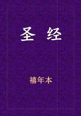Holy Bible - 新旧约全书 - cover