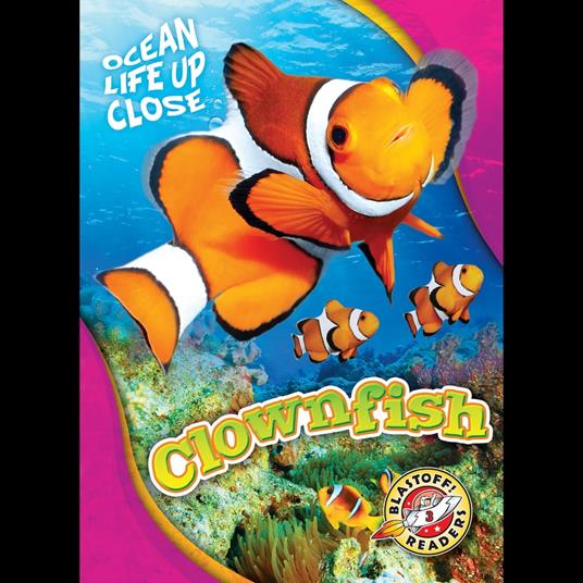 Clownfish