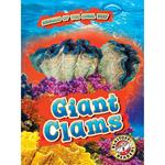 Giant Clams