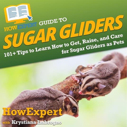 HowExpert Guide to Sugar Gliders