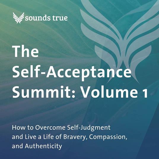 The Self-Acceptance Summit: Volume 1