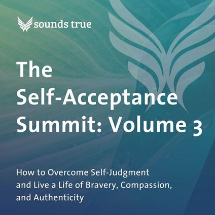The Self-Acceptance Summit: Volume 3