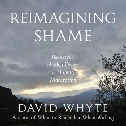 Reimagining Shame
