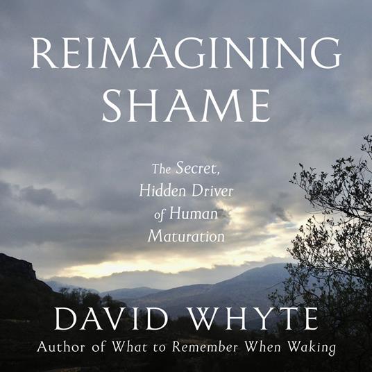 Reimagining Shame