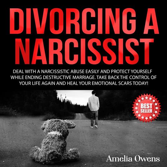 DIVORCING A NARCISSIST