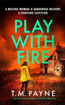 Play With Fire - T. M. Payne - cover