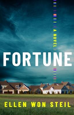 Fortune: A Novel - Ellen Won Steil - cover