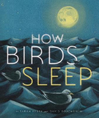 How Birds Sleep - David Obuchowski - cover