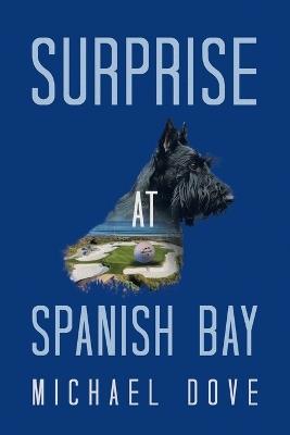 Surprise at Spanish Bay - Michael Dove - cover