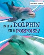 Is it a Dolphin or a Porpoise