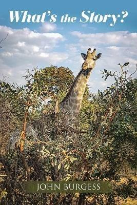 What's the Story? - John Burgess - cover