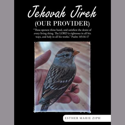 Jehovah Jireh (Our Provider)
