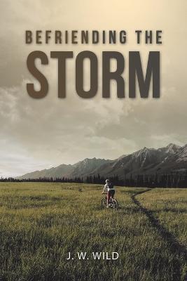 Befriending the Storm - J W Wild - cover