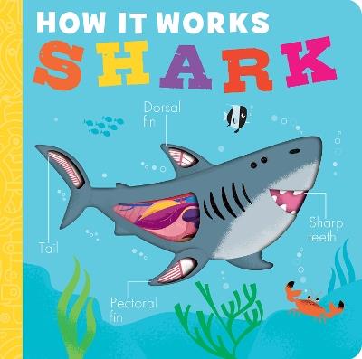 How It Works: Shark - Molly Littleboy - cover
