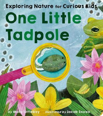 One Little Tadpole: Exploring Nature for Curious Kids - Molly Littleboy - cover