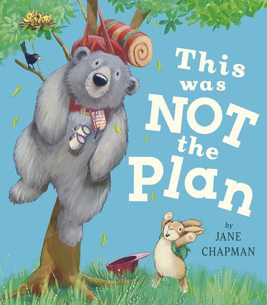 This Was Not the Plan - Jane Chapman - ebook