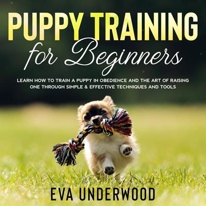 Puppy Training for Beginners