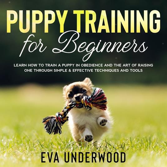Puppy Training for Beginners