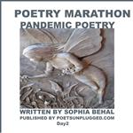 Poetry Marathon, A