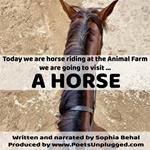 Horse, A