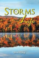 Storms of Life