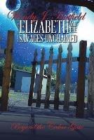 Beyond the Cedar Gate - Wendy J Hatfield - cover