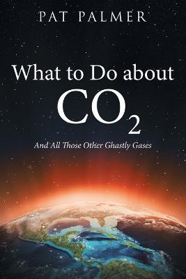 What to Do About Co2: And All Those Other Ghastly Gases - Pat Palmer - cover