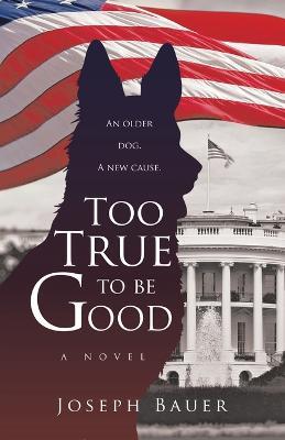 Too True to be Good - Joseph Bauer - cover