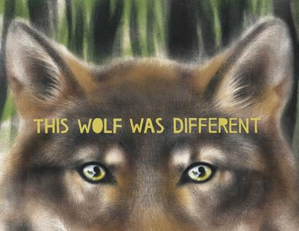 This Wolf Was Different - Katie Slivensky,Hannah Salyer - ebook