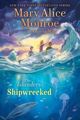 Shipwrecked - Mary Alice Monroe - cover