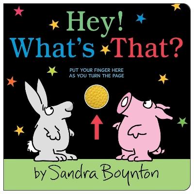 Hey! What's That? - Sandra Boynton - cover