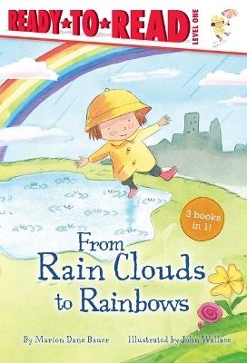 From Rain Clouds to Rainbows: Rain; Clouds; Rainbow - Marion Dane Bauer - cover