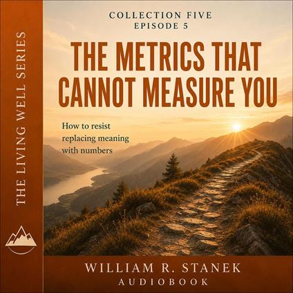 The Metrics That Cannot Measure You