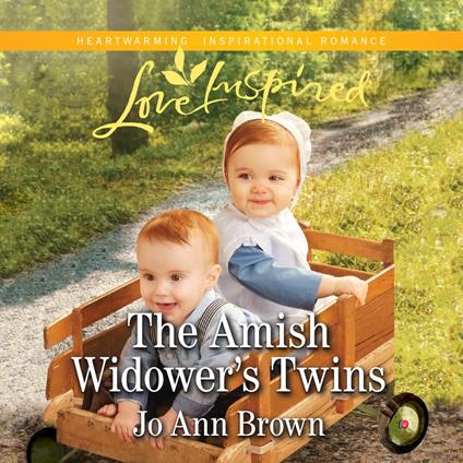 Amish Widower's Twins