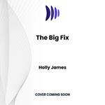 Big Fix, The
