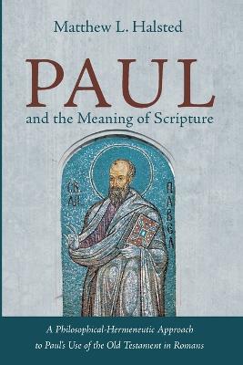 Paul and the Meaning of Scripture - Matthew L Halsted - cover