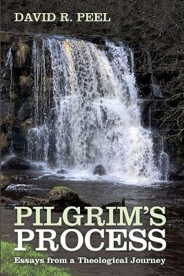 Pilgrim's Process - David R Peel - cover