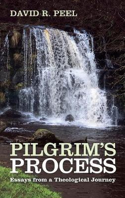 Pilgrim's Process: Essays from a Theological Journey - David R Peel - cover