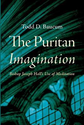 The Puritan Imagination - Todd D Baucum - cover