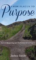 From Plague to Purpose: Sacred Wandering and the Postmodern Church - Joshua Taylor - cover