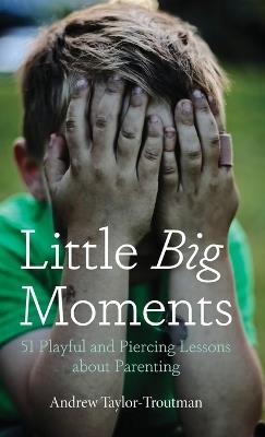 Little Big Moments: 51 Playful and Piercing Lessons about Parenting - Andrew Taylor-Troutman - cover