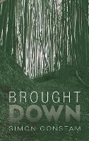 Brought Down - Simon Constam - cover