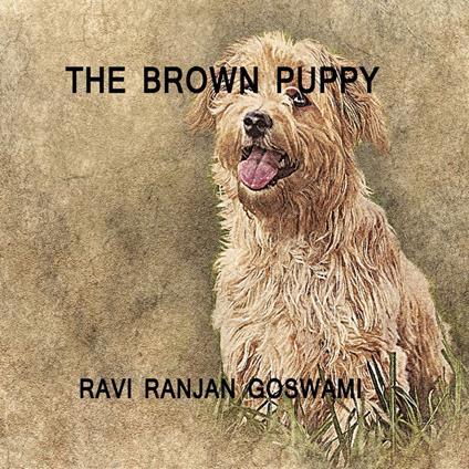 Brown Puppy, The