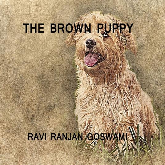Brown Puppy, The