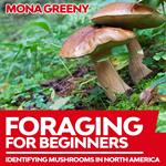 Foraging For Beginners